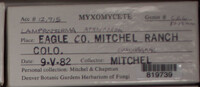 Image Associated With the Occurence